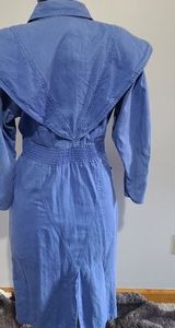 D Frank button up dress